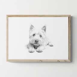 West Highland White Terrier Print, Cute Dog Vintage Sketch, Farmhouse Decor, Westie Gifts - thumbnail 1