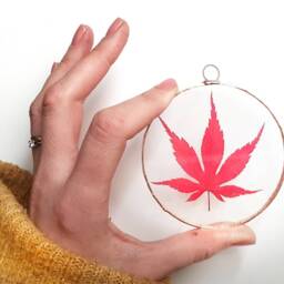 Pressed Autumn Acer Leaf, Tree Lover Secret Santa Christmas Xmas Gift, Handmade Herbarium, Nature Inspired Birthday Present, Housewarming - thumbnail 3