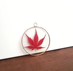 Pressed Autumn Acer Leaf, Tree Lover Secret Santa Christmas Xmas Gift, Handmade Herbarium, Nature Inspired Birthday Present, Housewarming - thumbnail 1