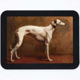 The White Greyhound Heywood Hardy Dog Pet Animal Painting Wooden Framed Art Print - thumbnail 3