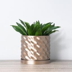"Geometric Planter With Drainage & Saucer in Champagne Bronze, Unique 3D-Printed Plant Pot, Small To Large Sizes 4"" 5"" 6"" 7"" 8" - thumbnail 2
