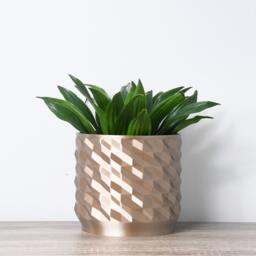 "Geometric Planter With Drainage & Saucer in Champagne Bronze, Unique 3D-Printed Plant Pot, Small To Large Sizes 4"" 5"" 6"" 7"" 8" - thumbnail 3