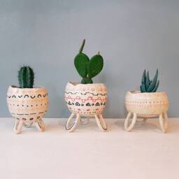 The Boho Bongo Collection - Handmade Ceramic Succulent Pot, Cactus Plant Pinch Home Studio Pottery, Or Work Decor - thumbnail 4