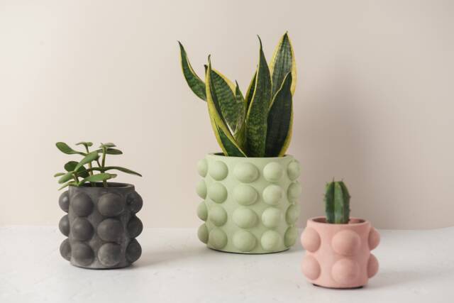 Round Concrete Plant Pot With Bubble Texture - Decorative & Unique - image 1
