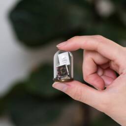 Miniature Library With Personalised Note, Message in Mini Book
