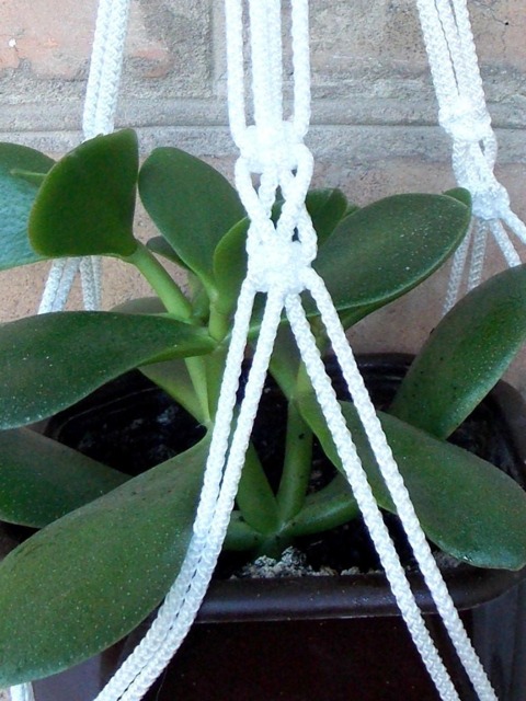 White Mini Plant Hanging Macrame Hanger 20 Inches 3mm Indoor Or Outdoor Decor Hanging Planter Wall Flower Pot - image 1