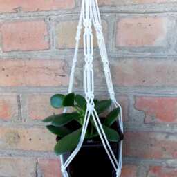 White Mini Plant Hanging Macrame Hanger 20 Inches 3mm Indoor Or Outdoor Decor Hanging Planter Wall Flower Pot - thumbnail 2