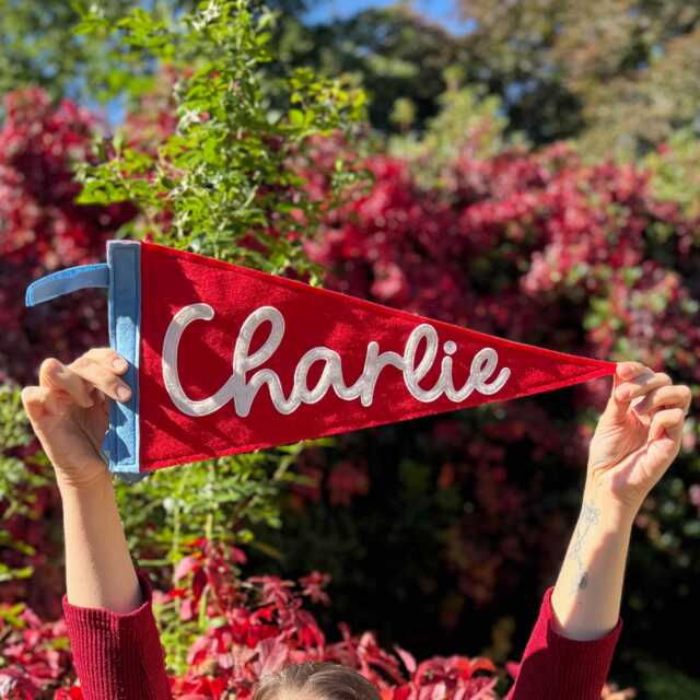 Personalised Felt Name Pennant With Cursive Font For Nursery, Kids Room, Baby Shower Gift, Wall Hanging Decor - image 1