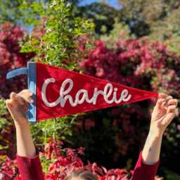 Personalised Felt Name Pennant With Cursive Font For Nursery, Kids Room, Baby Shower Gift, Wall Hanging Decor - thumbnail 1