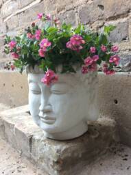 Beautiful Buddhas Plant Pot Stand For The Home Or Garden. From Sius - thumbnail 1