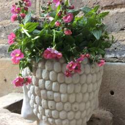 Beautiful Buddhas Plant Pot Stand For The Home Or Garden. From Sius - thumbnail 2