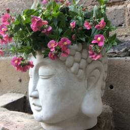 Beautiful Buddhas Plant Pot Stand For The Home Or Garden. From Sius - thumbnail 3
