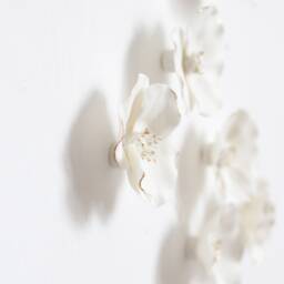 Wall Art Of 11 White & Gold Porcelain Poppies - thumbnail 1