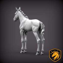 Foal - Standing Pose - Unpainted Resin Model - Realistic Young Horse Sculpture - thumbnail 4