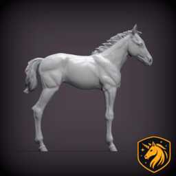 Foal - Standing Pose - Unpainted Resin Model - Realistic Young Horse Sculpture - thumbnail 3