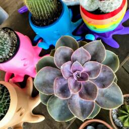 Octopus Succulent Planters - Just The Pots Made in Texas - thumbnail 2