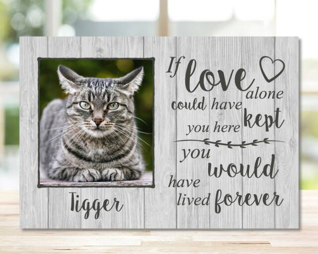 Cat Memorial Frame, Gift, Memorial, Plaque, Photo Memorial Picture - image 1