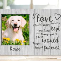 Cat Memorial Frame, Gift, Memorial, Plaque, Photo Memorial Picture - thumbnail 2