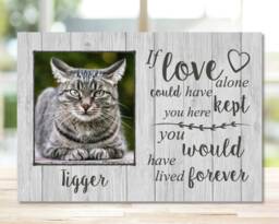 Cat Memorial Frame, Gift, Memorial, Plaque, Photo Memorial Picture - thumbnail 1