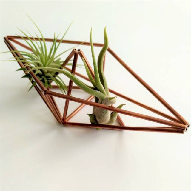 Unique Air Planters, Air Plant Holder, Paperboat Airplants Display, Geometric Cubicle Decor - image 1