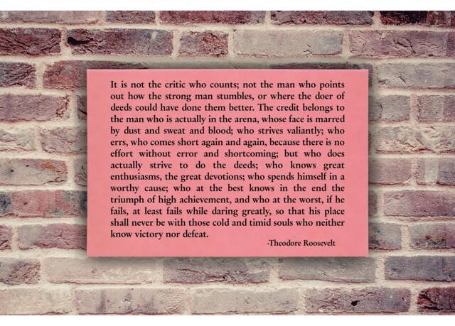 Pink Wall Art Man in The Arena Speech Theodore Roosevelt Inspiration Decor For Bedroom, Office, Weddings With Inspirational Quote - image 1