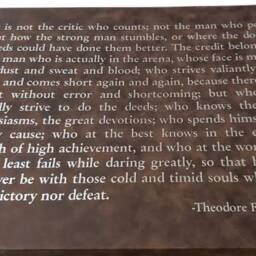 Pink Wall Art Man in The Arena Speech Theodore Roosevelt Inspiration Decor For Bedroom, Office, Weddings With Inspirational Quote - thumbnail 2