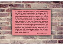 Pink Wall Art Man in The Arena Speech Theodore Roosevelt Inspiration Decor For Bedroom, Office, Weddings With Inspirational Quote