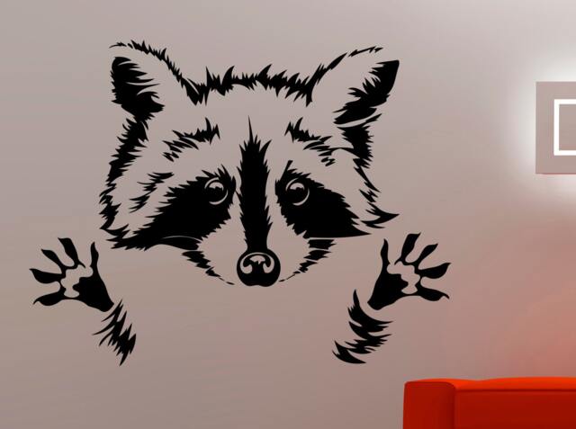 Raccoon Wall Sticker Animal Decals Home Interior Design Living Room Decor Dorm Art Murals Waterproof Stickers 11Razz - image 1