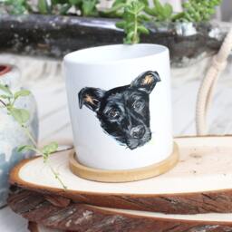 Custom Pet Portrait Planter, Realistic Hand Painted Pet Painting, Cat Dog Succulent Planter With Drainage Hole & Bamboo Tray Sauser - thumbnail 3