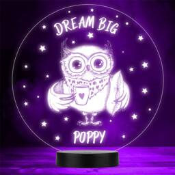 Owl in Glasses With Mug Stars Dream Big Led Personalised Gift Night Light
