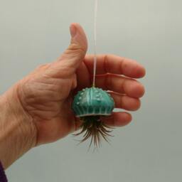An Octopus Garden Collection Of 4 Mini Hanging Air Planters, Gift - thumbnail 4