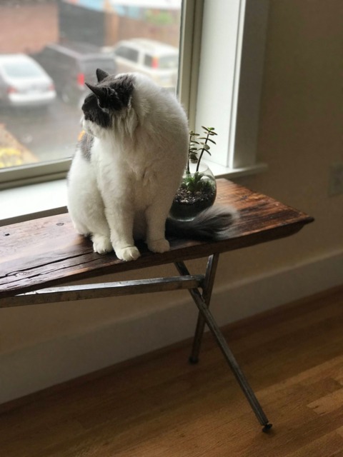 Reclaimed Live Edge Table - image 1