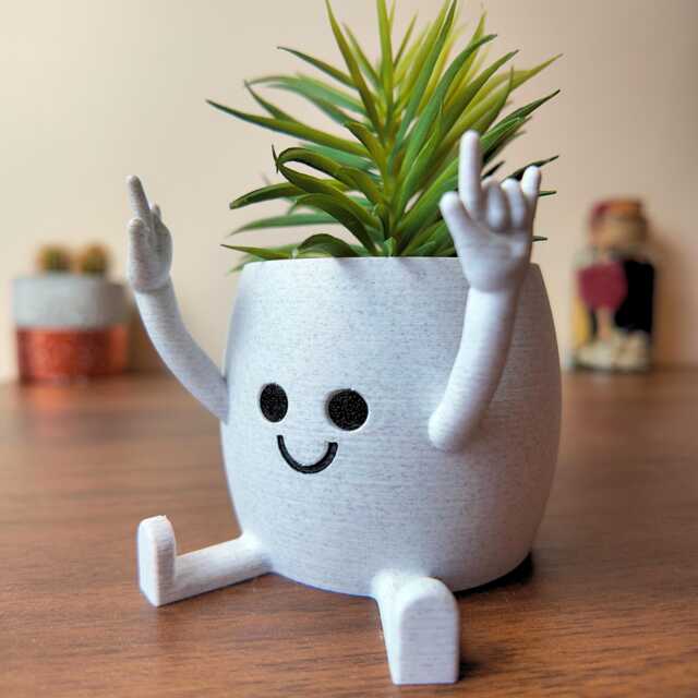 jade plant for sale Jade Plant - Friendship Plant
