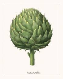 Globe Artichoke Gicl??e Print Kitchen Wall Art Decor - thumbnail 1