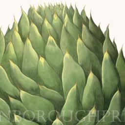 Globe Artichoke Gicl??e Print Kitchen Wall Art Decor - thumbnail 3