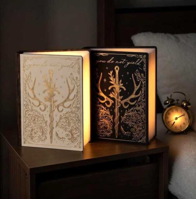 Throne Of Glass Fantasy Book Lamp, You Do Not Yield Matching Sword Wooden Led Decor, Aelin Galathynius Quote Reading Lamp - image 1