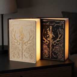 Throne Of Glass Fantasy Book Lamp, You Do Not Yield Matching Sword Wooden Led Decor, Aelin Galathynius Quote Reading Lamp - thumbnail 2