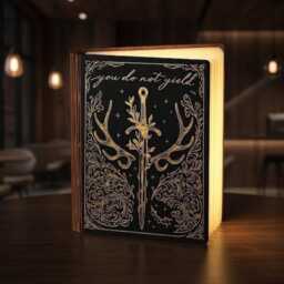 Throne Of Glass Fantasy Book Lamp, You Do Not Yield Matching Sword Wooden Led Decor, Aelin Galathynius Quote Reading Lamp - thumbnail 3