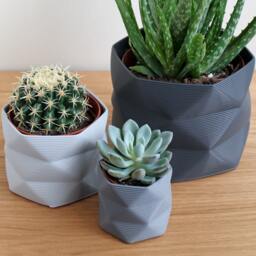 Large Pot/Planter Desk Tidy - 3D Printed For Cacti/Cactus, Succulents, Houseplants - thumbnail 3
