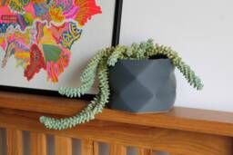 Large Pot/Planter Desk Tidy - 3D Printed For Cacti/Cactus, Succulents, Houseplants - thumbnail 1