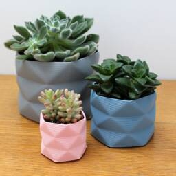 Large Pot/Planter Desk Tidy - 3D Printed For Cacti/Cactus, Succulents, Houseplants - thumbnail 2