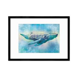 Humpback Whale Art Print Poster Wall Decor Framed Mounted Watercolour Pencil Drawing Frame Sea Orca Dolphin Ocean Nature Planet Earth A3 A2 - thumbnail 3