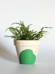 Hand Painted Terracotta Plant Pot With Drainage Customisable Colours & Size Optional Saucer - thumbnail 1