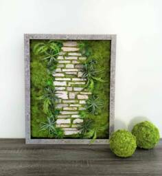 Moss Wall Art, Greenery Hanging Wall Garden, 21.5x17.5