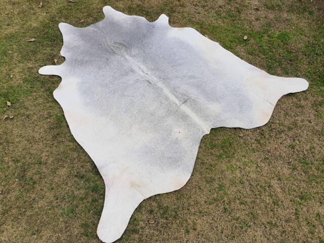 Cowhide Rug in Gray, Grey Brazilian Cow Skin Rug, Exotic Leather Area Home Decor Soft Carpet Custom Hide With Real Hair On - image 1