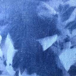 Cyanotype Pillow - thumbnail 3