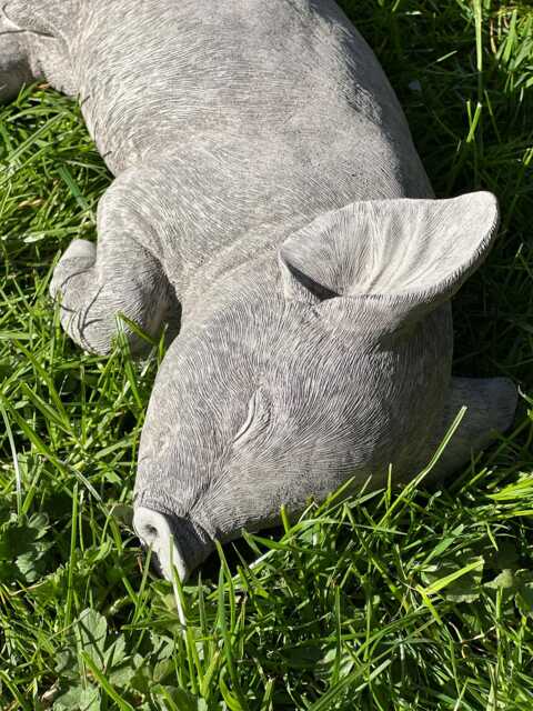 Stone/ Concrete Pig Garden Ornament Statue - image 1