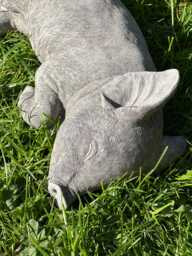 Stone/ Concrete Pig Garden Ornament Statue - thumbnail 1
