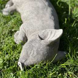 Stone/ Concrete Pig Garden Ornament Statue - thumbnail 3
