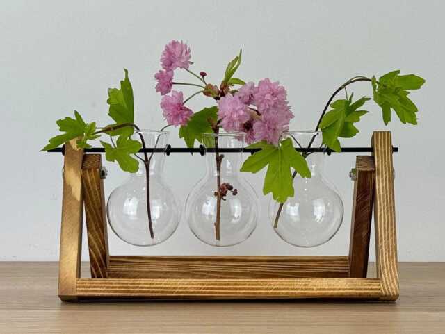 Hydroponic Glass Planter Propagation Home Decoration Decor Flowers Plant Gardener Desk Office House Gift - image 1